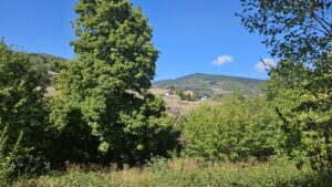 Terrain LAPOUTROIE